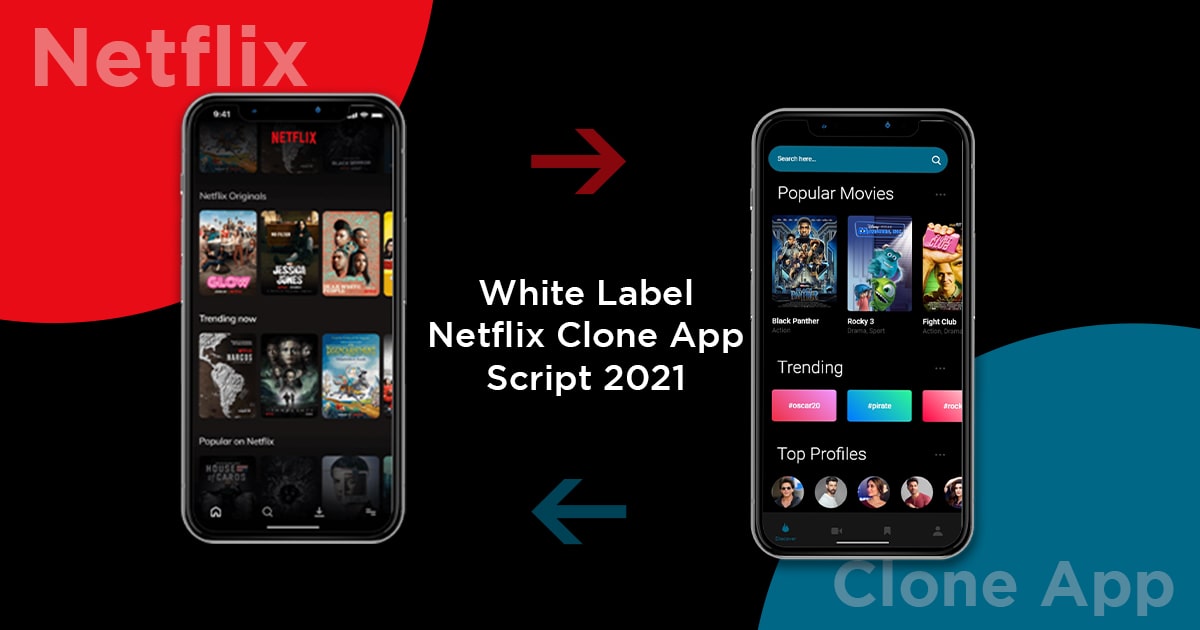 White Label Netflix Clone App Script
