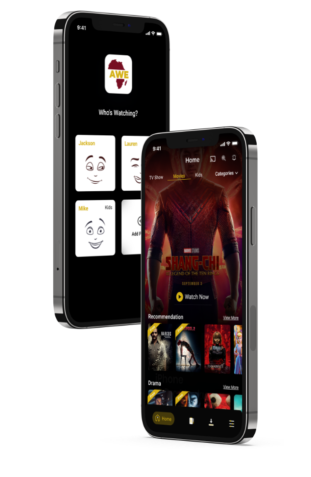 Streaming Videos App UI