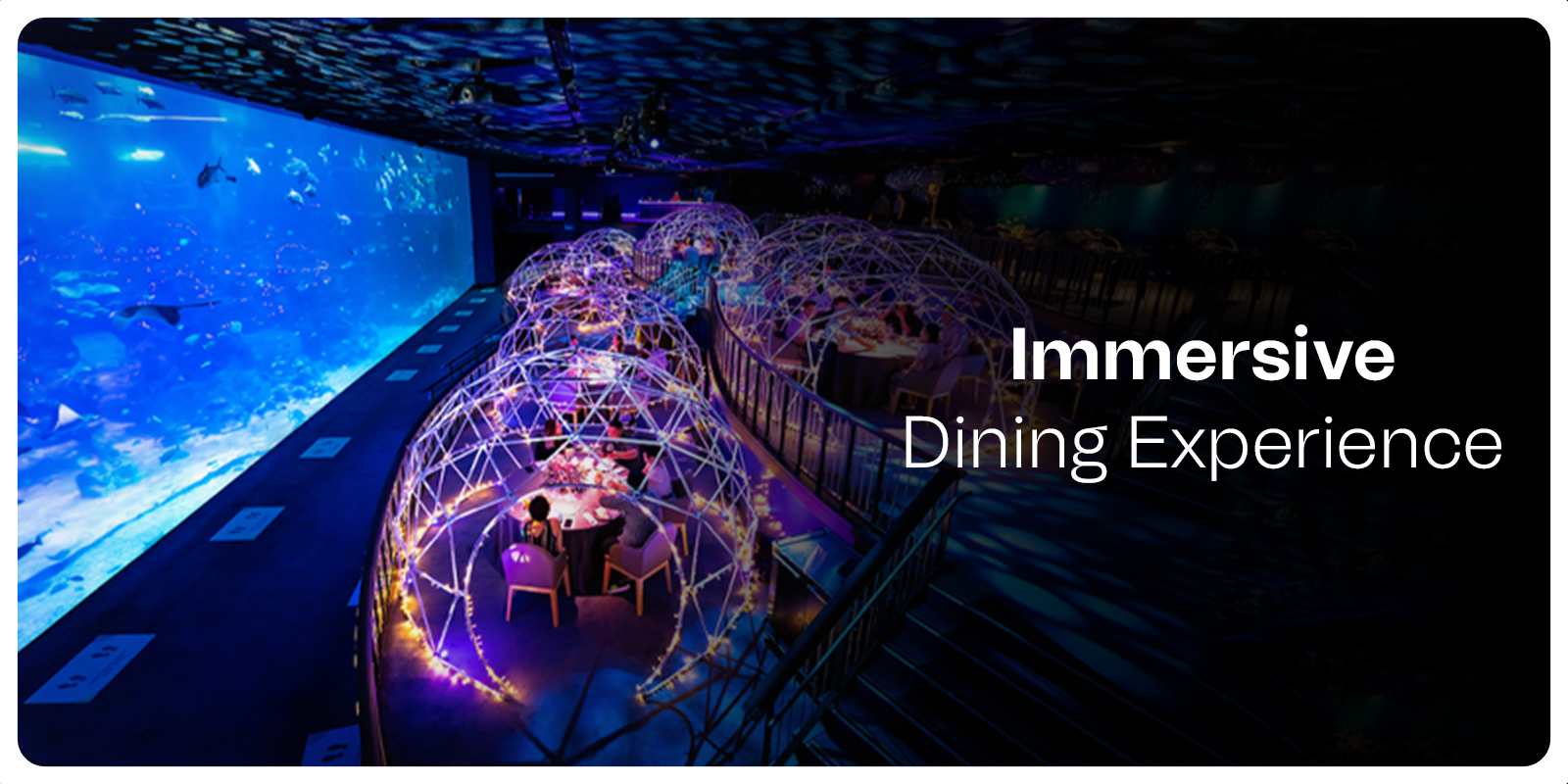 Immersive Dining Experience