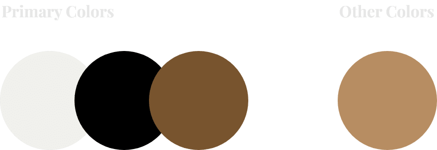 color palette for shoe app design